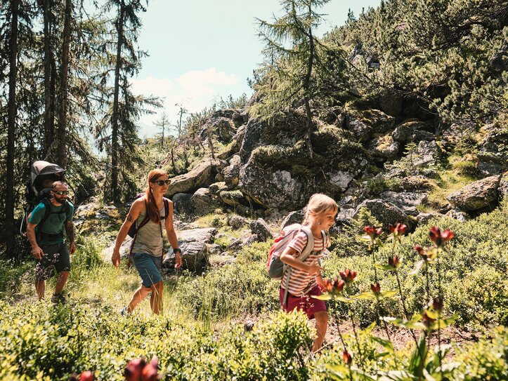 Wandern in Fiss mit Familie Eine Familie wandert auf einem sonnigen Bergpfad zwischen Felsen und Nadelbäumen.
