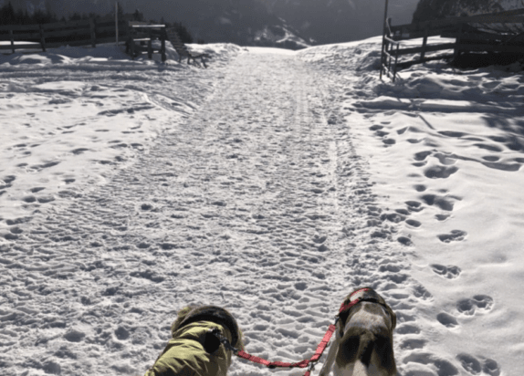 Winterwandern zur Leithe Wirt